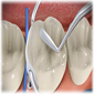 odontologia conservadora icono 5R